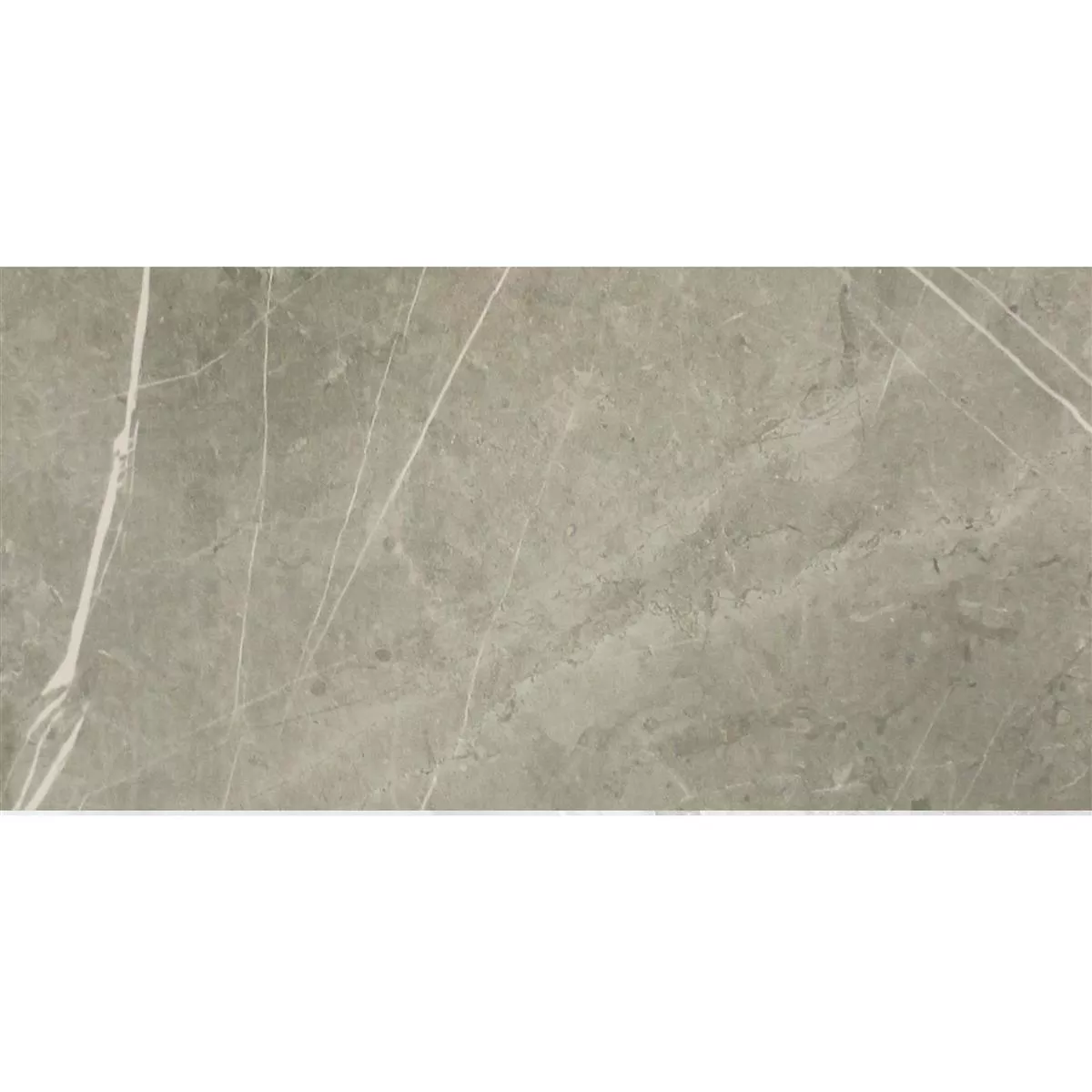 Prov Klinker Astara Naturstenoptik Polerad Grey 30x60cm