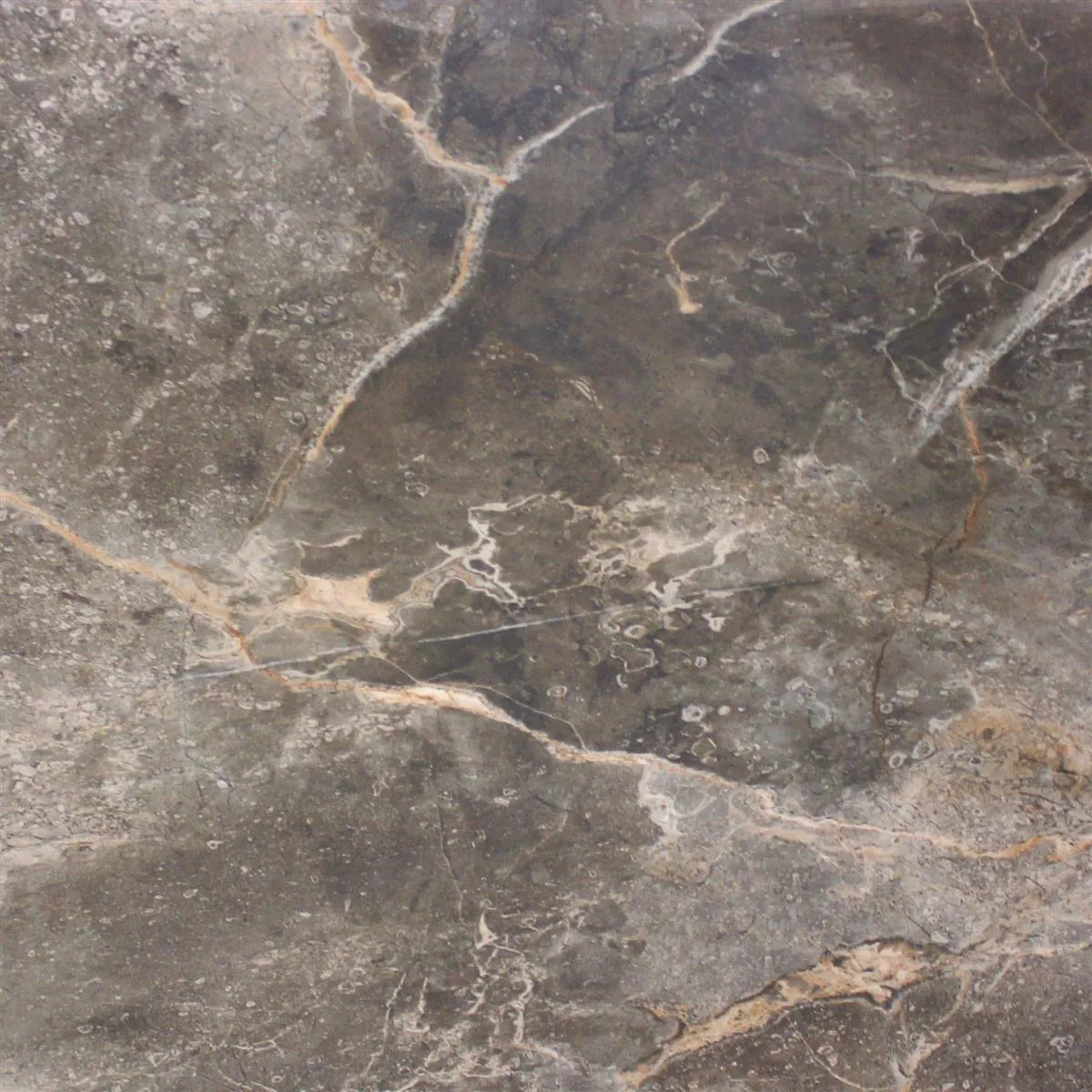 Klinker Marmor Optik Himalaya Brun Polerad 60x60cm Klinker Marmor Optik Himalaya Brun Polerad 60x60cm