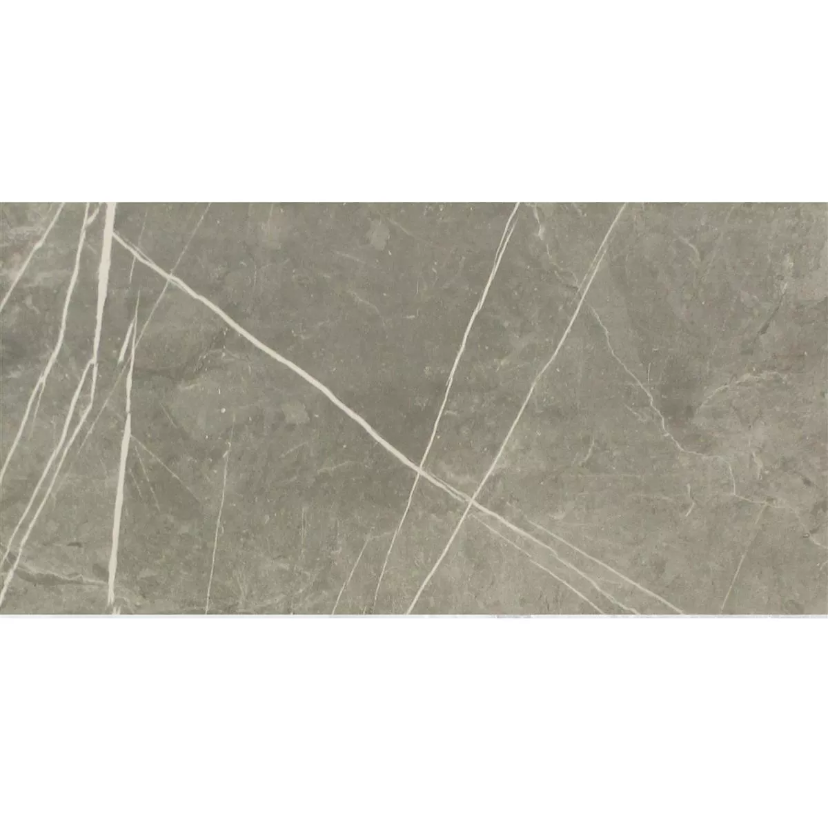 Prov Klinker Astara Naturstenoptik Polerad Grey 30x60cm