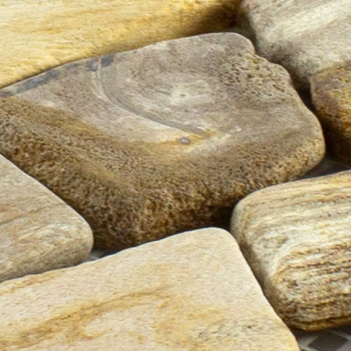 Prov Marmor Brott Mosaik Erdenet Brun Beige