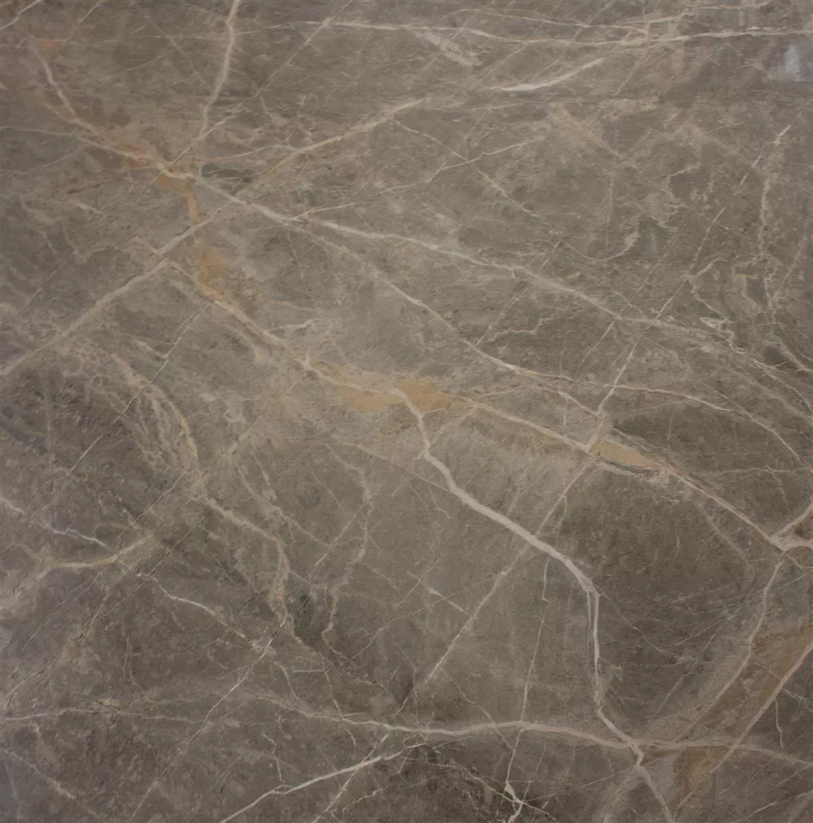 Klinker Zeven Grå Beige Guld Skiffer Optik 60x60cm