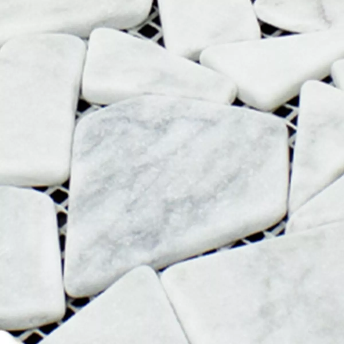 Prov Marmor Brott Mosaik Mareblu Carrara Vit