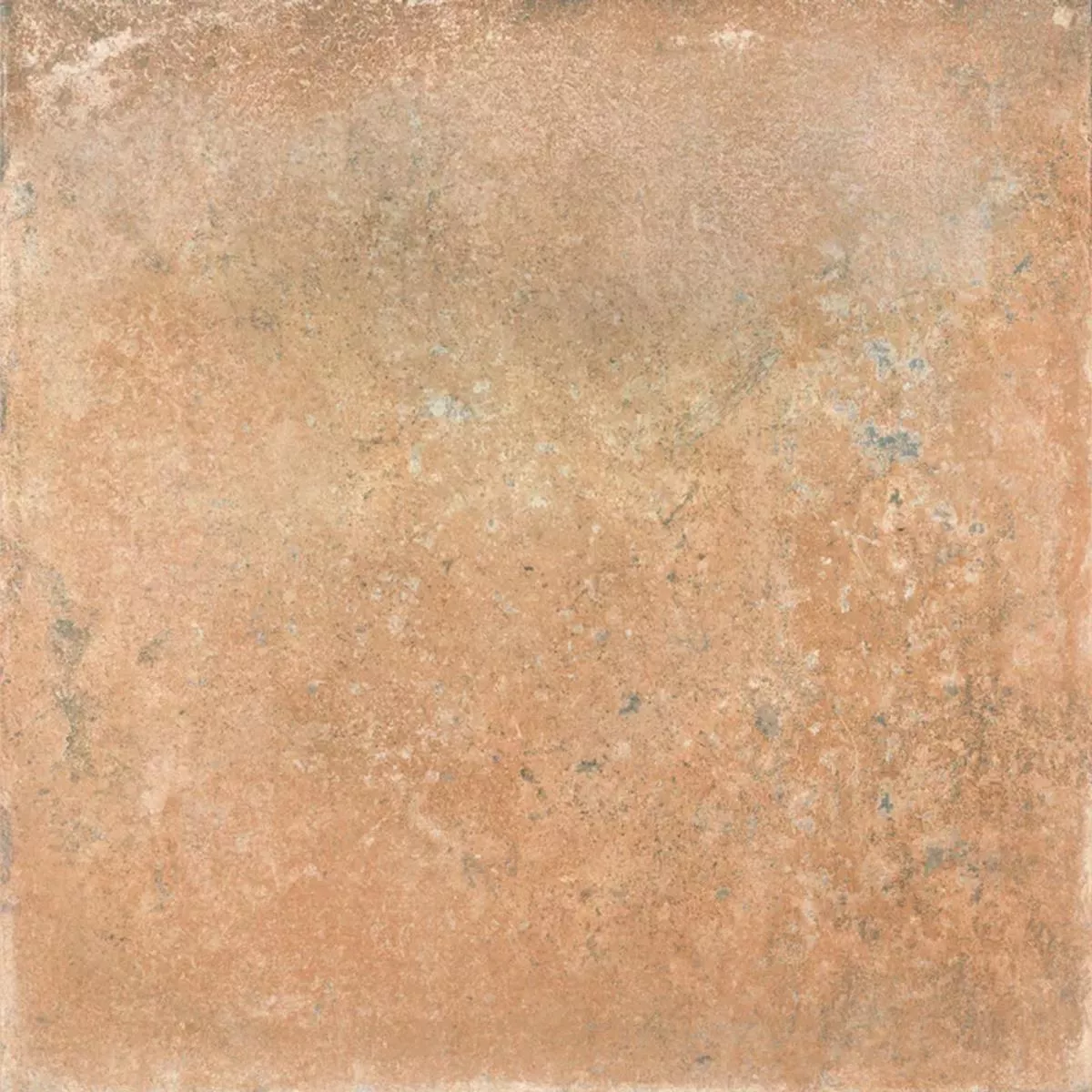 Queens Terrakotta Brun 25x25 cm